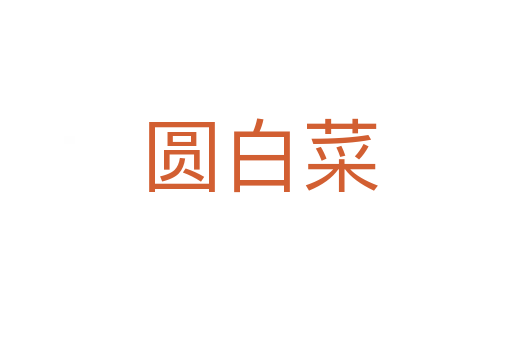 圆白菜