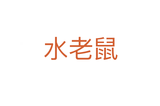 水老鼠