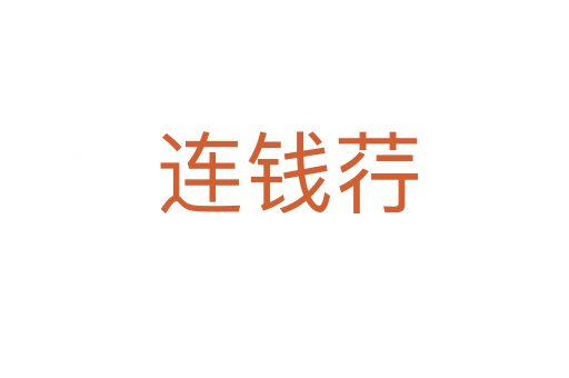 连钱荇