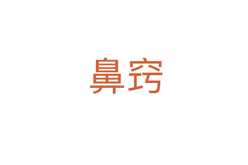 鼻窍