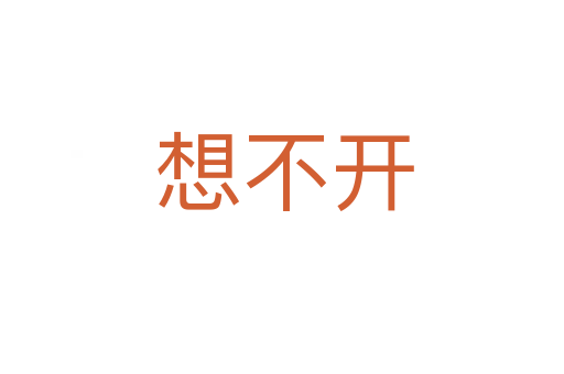 想不开
