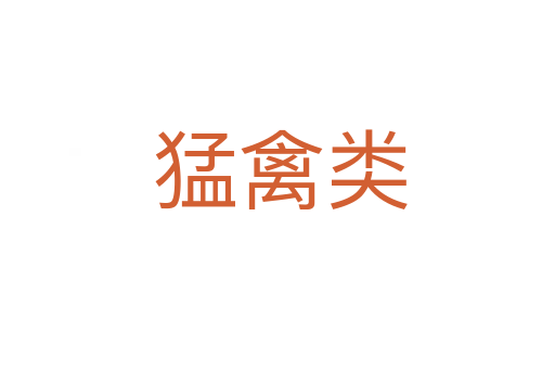 猛禽类