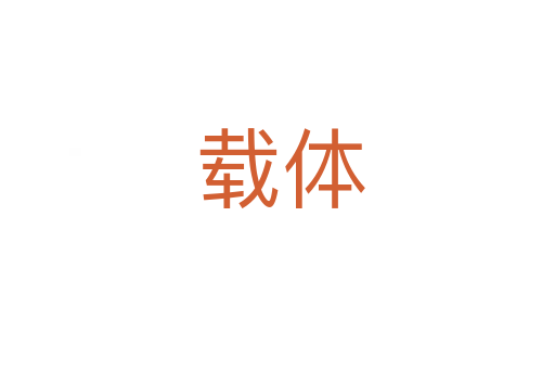 载体
