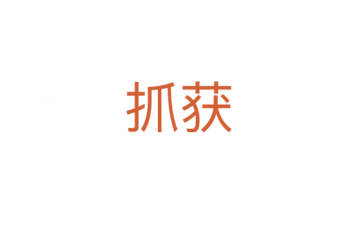 抓获