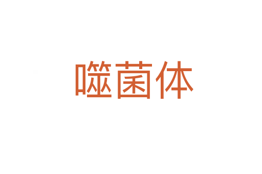 噬菌体