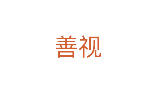 善视