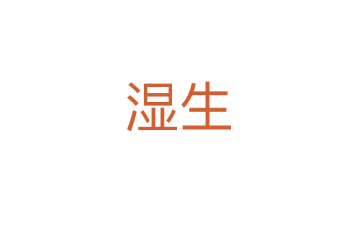 湿生
