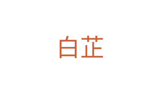 白芷