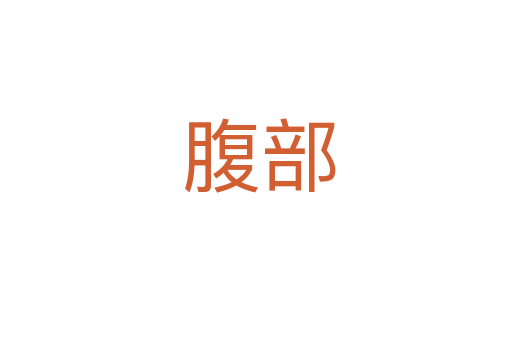 腹部