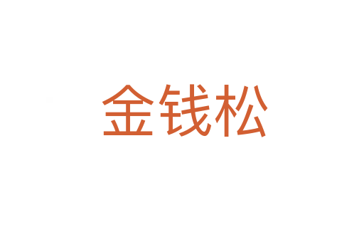 金钱松