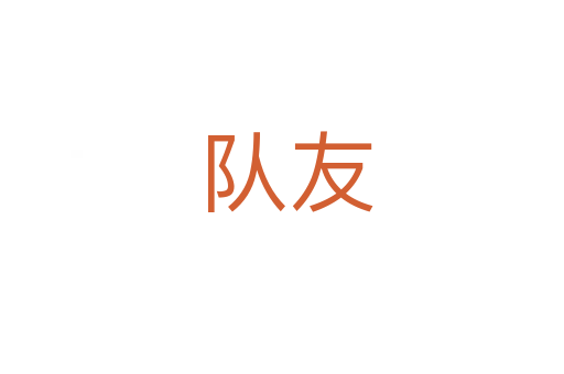 队友