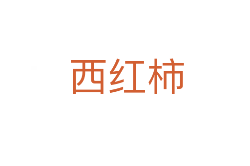 西红柿