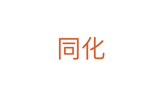 同化