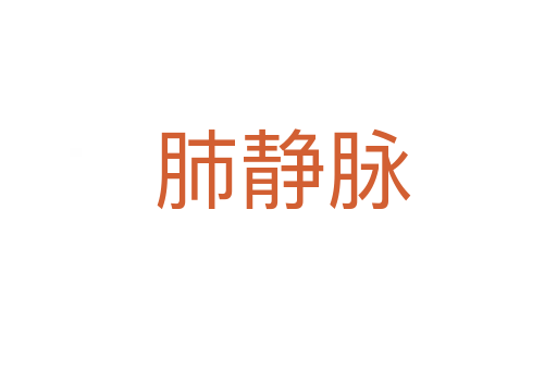 肺静脉