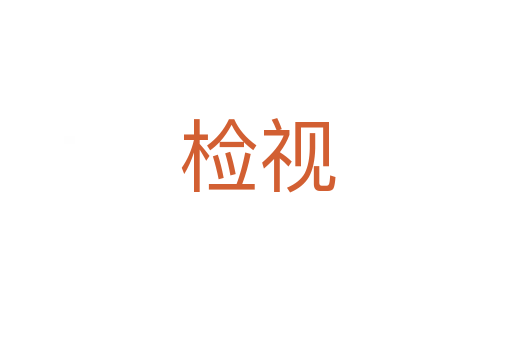 检视