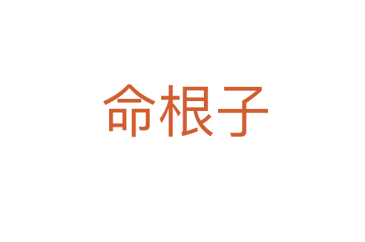 命根子