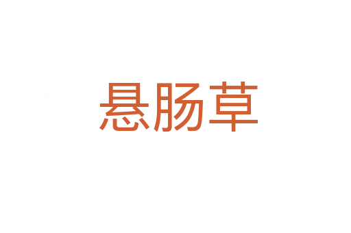 悬肠草