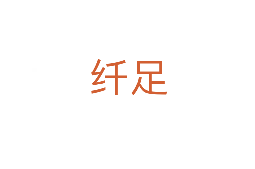 纤足