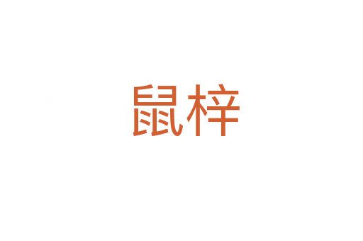鼠梓