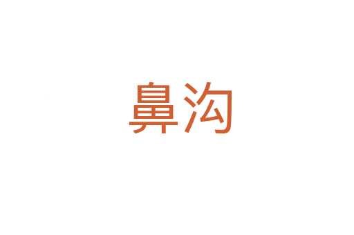 鼻沟