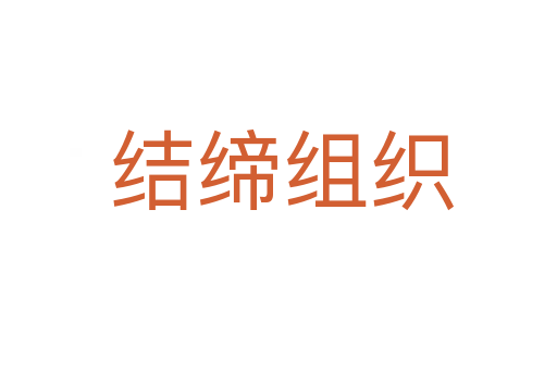 结缔组织