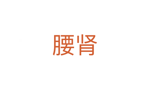 腰肾