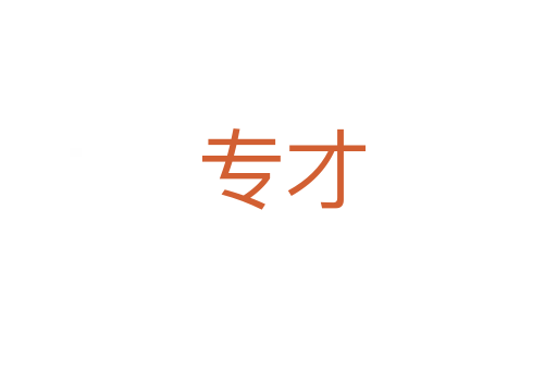 专才