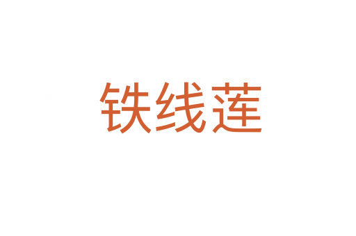 铁线莲