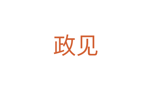 政见