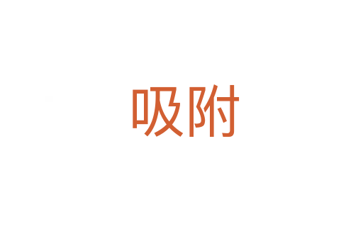 吸附
