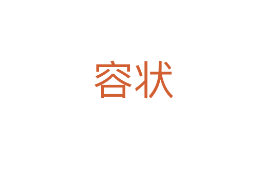 容状
