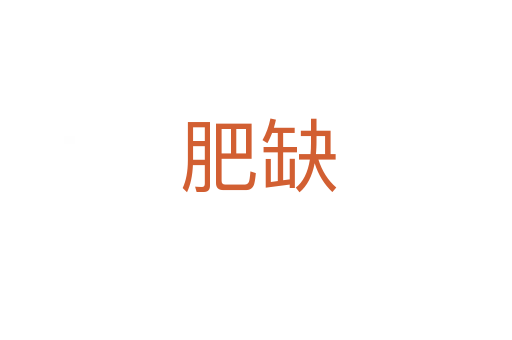 肥缺