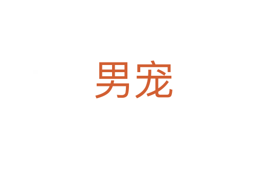 男宠