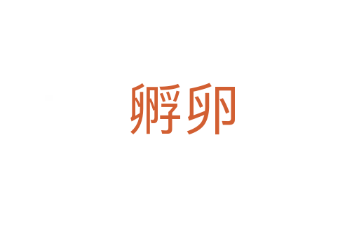 孵卵