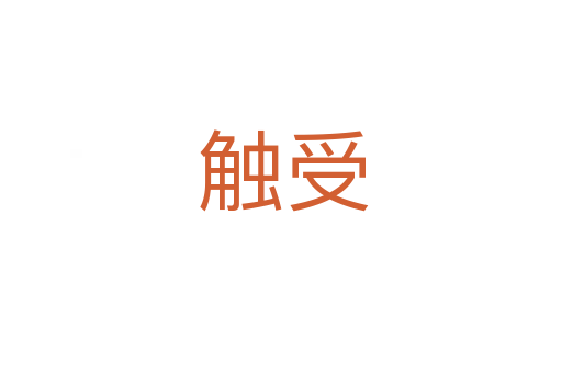 触受