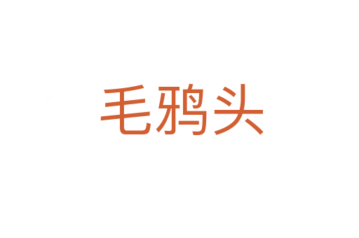 毛鸦头