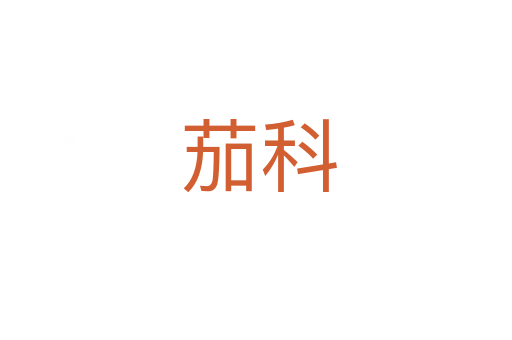 茄科