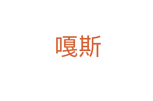 嘎斯