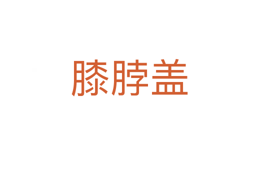 膝脖盖