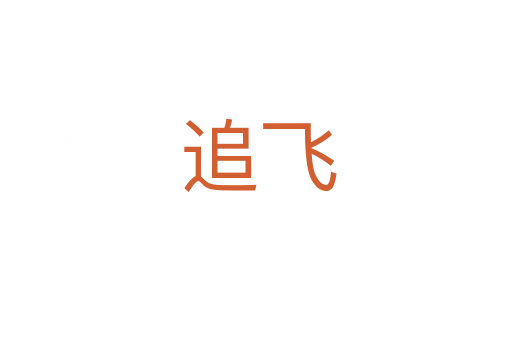 追飞