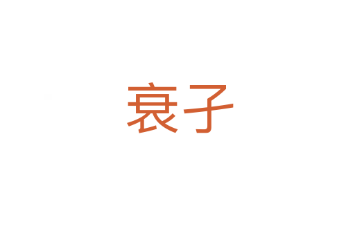 衰孑