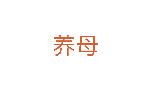 养母