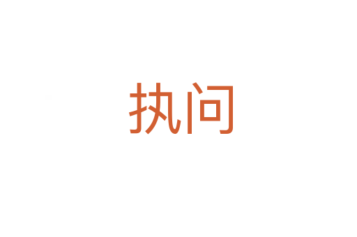 执问