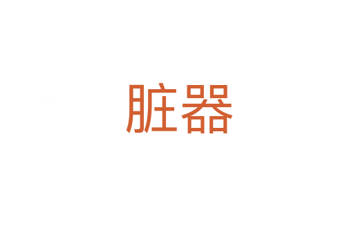 脏器