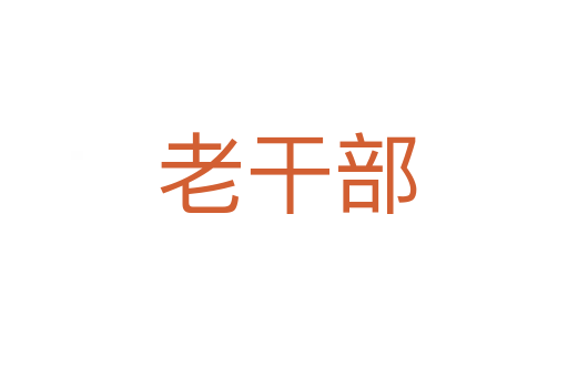 老干部