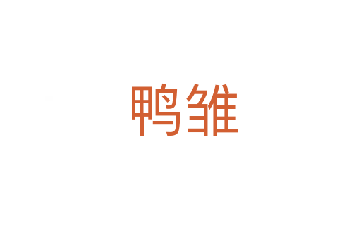 鸭雏