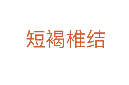 短褐椎结