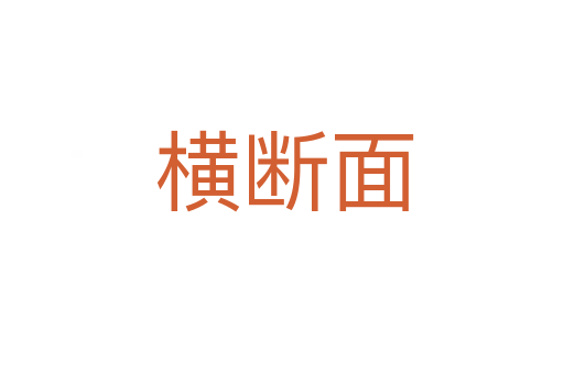 横断面