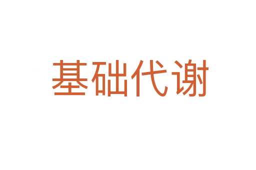 基础代谢