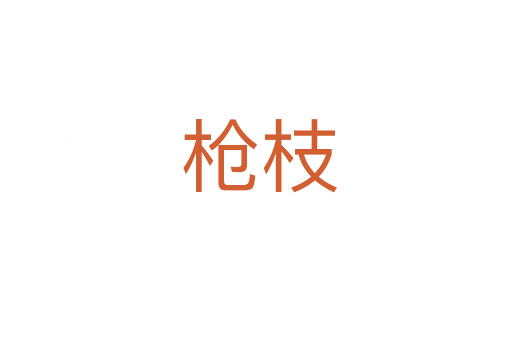 枪枝
